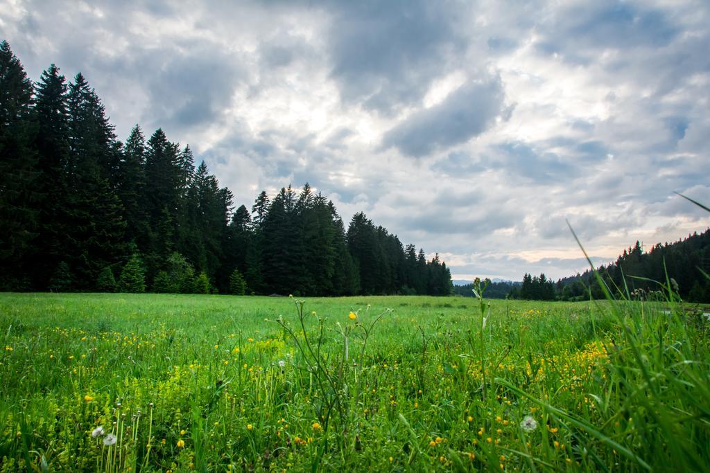 Holiday Home Cancarevic Равна Гора Стая снимка